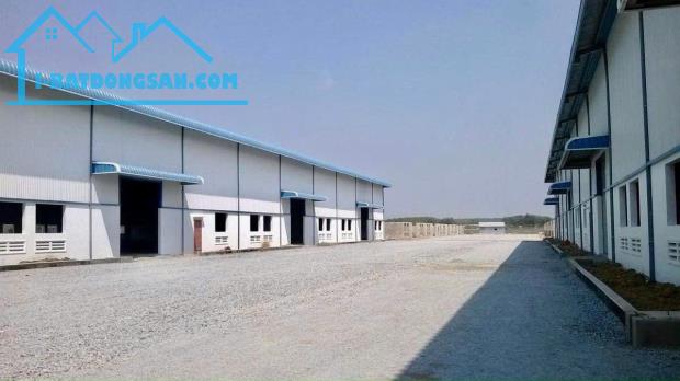 CẦN TIỀN SANG NHANH 1010M2 ĐẤT NGAY KCN ĐÔNG CÔNG NHÂN. GIÁ 145TRIỆU CÓ THỂ XÂY TRỌ VÀ KD - 1