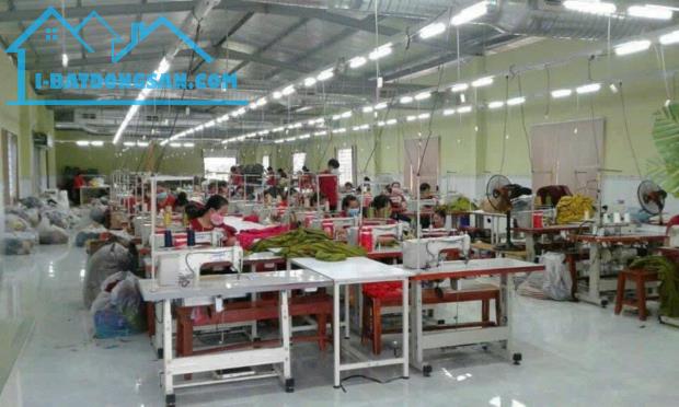 Nhà xưởng 2500m2 hẻm tỉnh lộ 7, xã Phước Thạnh, Củ Chi giá 17 tỷ - 4