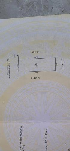 Siêu phẩm 147m2 ngang 7m đường 10m Bãi Huyện, An Đồng, An Dương - 2