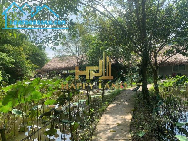 Bán đất homestay gần khu du lịch Tam Cốc - 3