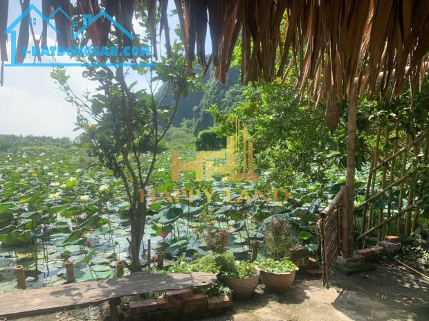 Bán đất homestay gần khu du lịch Tam Cốc