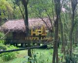 Bán đất homestay gần khu du lịch Tam Cốc