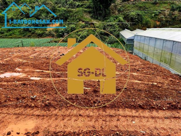 Cần bán gấp 438m2 đất mặt tiền đường Đa Phú, P7, Đà Lạt giá 12,5 tỷ - 5