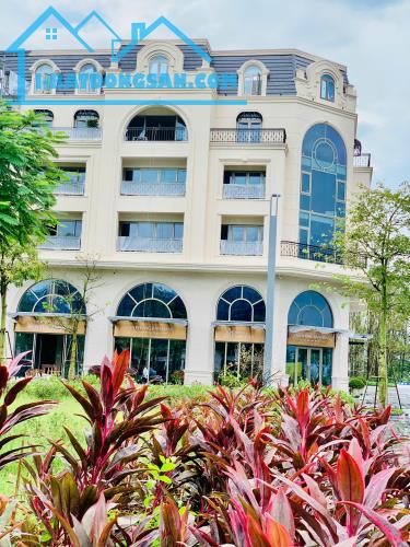 Bán Shophouse Dự Án Royal Mansion Vị Trí Độc Tôn, Trung Tâm Ngã 6 Bắc Giang. - 3