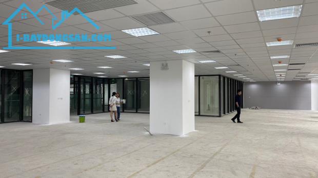 EM Linh sẵn văn phòng diện tích từ 243m2 - 3000m2 cần cho thuê văn phòng. - 1