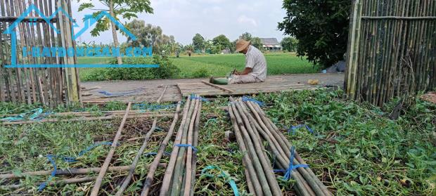 Đất đường ô tô thông, Khu Dân Cư Bình Mỹ, 8,5x25m. 1,3 tỷ - 3