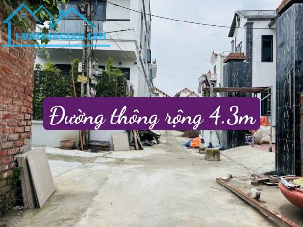 Bán đất lô góc Mai Đình Sóc Sơn 42m2 full thổ cư MT4m ôtô vào nhà nhỉnh tỷ xíu - 2