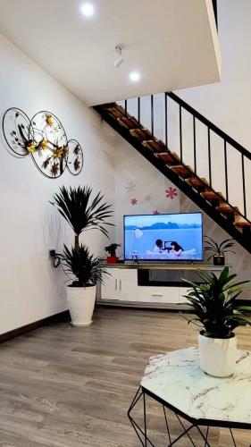 Bán gấp Homestay 3 mặt tiền Hẻm 27 Lê Hồng Phong, Phường 4, Đà Lạt 120m2 chỉ 6.8 tỷ - 3