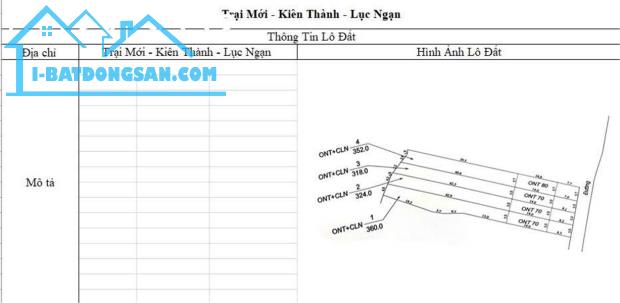 CƠ HỘI ĐẦU TƯ SINH LỜI CAO ĐẤT THUỘC THỊ XÃ CHŨ- BẮC GIANG- SỞ HỮU FARM DÒNG TIỀN ỔN ĐỊNH - 4