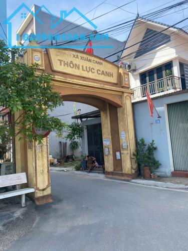 BÁN ĐẤT LỰC CANH XUÂN CANH 2 MẶT TIỀN 117M2 ĐẤT-NGÕ Ô TÔ VÀO-SÁT VIN CỔ LOA 8 TỶ ĐÔNG ANH - 2