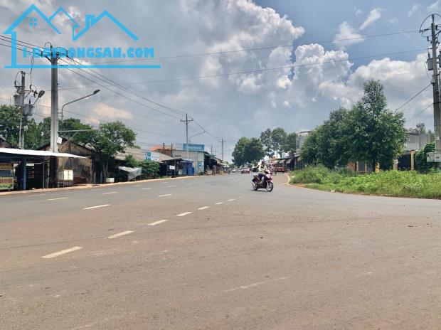 Bán Lô Thổ Cư Duy Nhất Măt Tiền Nhựa TĩnhLộ Hơn 300m2 Sổ Hồng Riêng,Gần Tiện Ích,Giá480Tr - 2