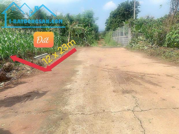 Lô Đất Biệt Thự mini hẻm Nguyễn Hữu Thấu nối dài thành phố BMT - 2