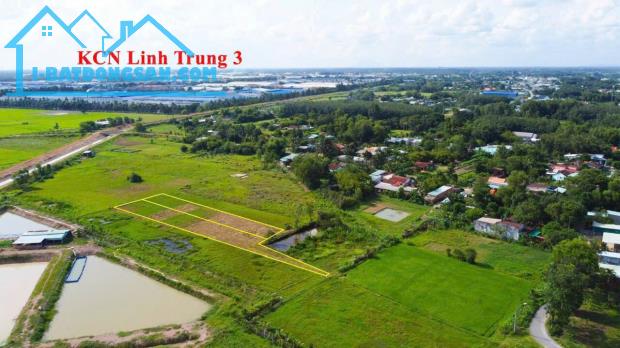 ĐẤT CHÍNH CHỦ ĐANG KẸT TIỀN CẦN BÁN GẤP VỊ TRÍ SIÊU ĐẸP GIÁ NGỘP 1TỶ200TR - 5