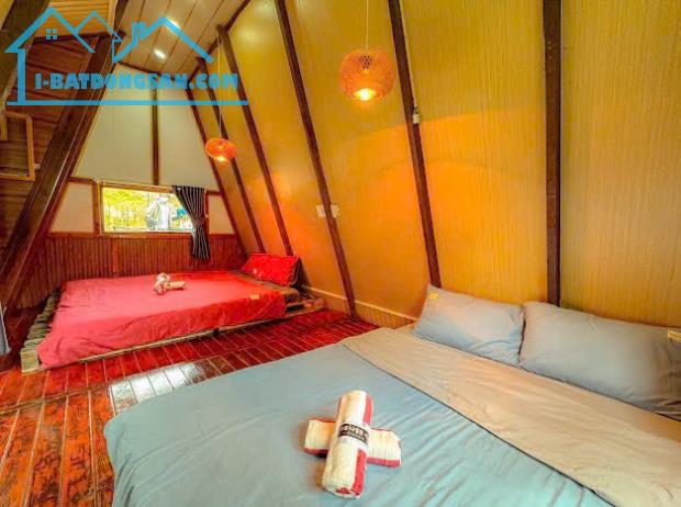 CHO THUÊ HOMESTAY ĐƯỜNG Ô TÔ THÁNH MẪU PHƯỜNG 7 ĐÀ LẠT, 6PN FULL NỘI THẤT GPKD PCCC, 17TR - 2