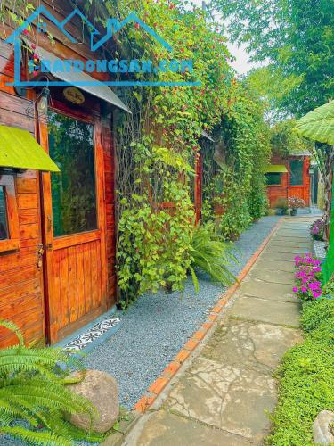 CHO THUÊ HOMESTAY ĐƯỜNG Ô TÔ THÁNH MẪU PHƯỜNG 7 ĐÀ LẠT, 6PN FULL NỘI THẤT GPKD PCCC, 17TR - 4