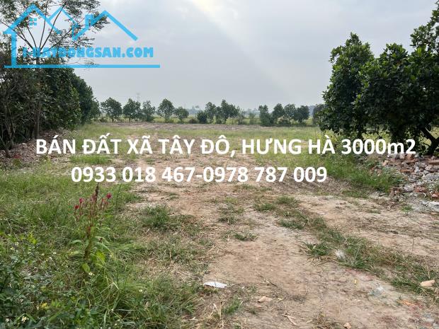 Bán đất thị trấn hưng hà, thái bình 3000m2-0933 018 467-0978 787 009 - 4