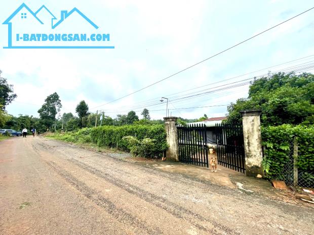 Bán lô mặt tiền nhựa 250m2,TT thị xã, thổ cư,dân đông đường thông gần sát chợ,Giá 380Triệu - 1