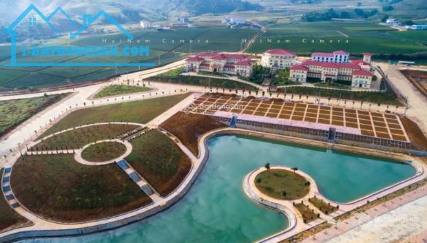 PANASEA HILL MỘC CHÂU - SẢN PHẨM CHỮA LÀNH - 4