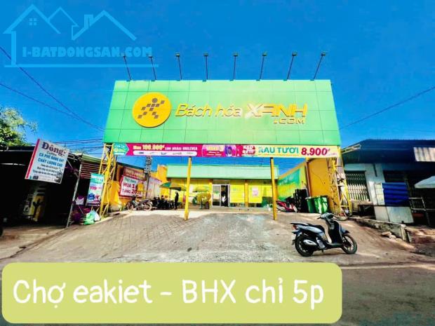 Bán Đất 2 Lô Liền kề Đất Đỏ Bazan Xã Ea Kiết full 70 gốc cafe Giá 180tr - 4