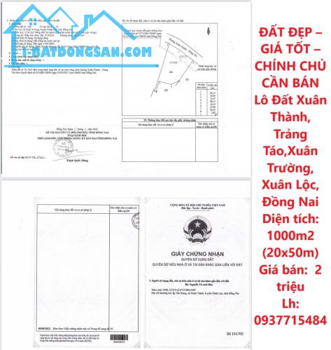 ĐẤT ĐẸP – GIÁ TỐT – CHÍNH CHỦ CẦN BÁN Lô Đất Xuân Thành, Trảng Táo,Xuân Trường, Xuân Lộc, - 2