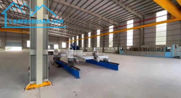 Cho Thuê 6.000m2 Nhà Xưởng Khu Vực Bàu Bàng - Bình Dương