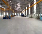 Cho Thuê 6.000m2 Nhà Xưởng Khu Vực Bàu Bàng - Bình Dương