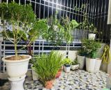 Nhà Đẹp Trần khát chân 5 tầng 35m² mặt tiền 3.3m rất thoáng.