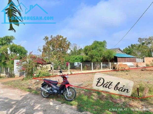 ĐẤT ĐẸP- GIÁ TỐT –CẦN BÁN GẤP 2 LÔ ĐẤT ĐẸP TẠI  Xã Ea Drông, Thị xã Buôn Hồ, Đắk Lắk - 2