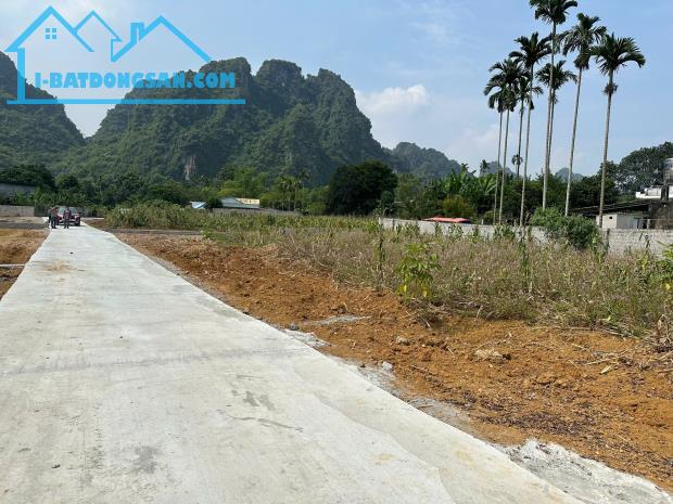 Chính chủ gửi em bán lô đất 289m2/50m thổ cư Tại thôn Dẻ Cau Thanh Sơn Lương Sơn Hòa Bình - 1