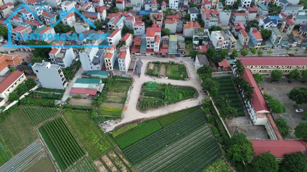 bán đất đấu giá X5 Trung Oai Tiên Dương Đông Anh Hà Nội - 3