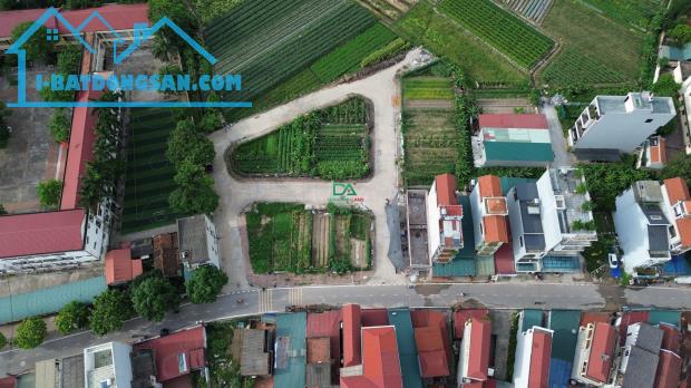 bán đất đấu giá X5 Trung Oai Tiên Dương Đông Anh Hà Nội - 1