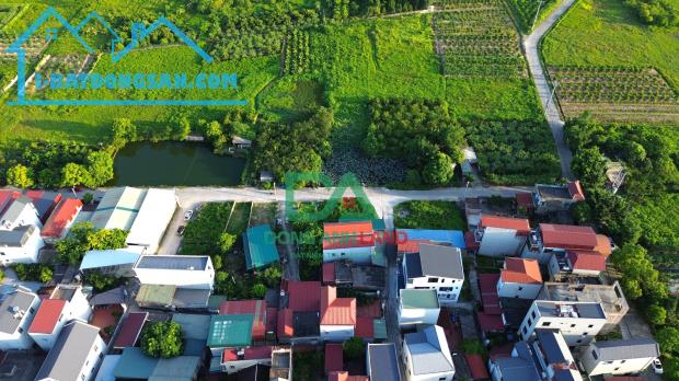 Bán Đất Đấu Giá Tiên Dương Đông Anh - Khu  X3 Lương Nỗ - 3
