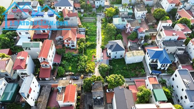 Bán Đất Đấu Giá X2 Lương Nỗ Đông Anh - 4