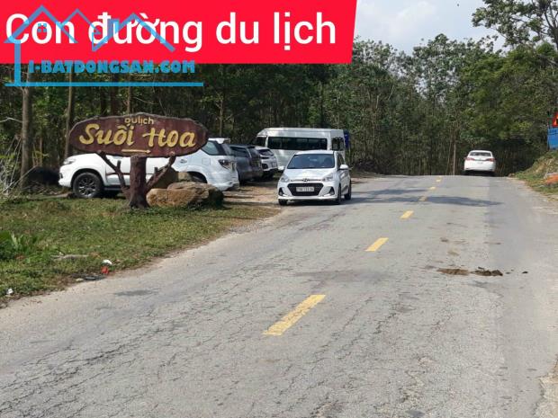 Đất nhà vườn, kho xường MT QL14G đẹp 7 tỷ/1.000m2 - 1