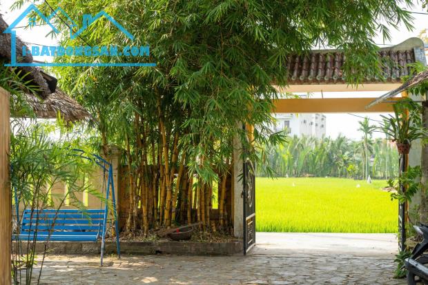 Cơ hội vàng để sở hữu căn Homestay rộng 400m2 nằm trên phường Cẩm Thanh Hội An Đà Nẵng - 3