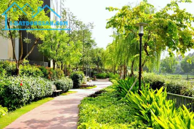 Chính chủ bán căn hộ Mulberry Lane 122m2, 3PN, view bể bơi, giá 7 tỷ - 1