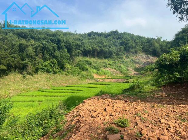 Chủ bán 2287M đất_400M thổ cư view cánh đồng Tân Lạc Hoà Bình_7xx triệu