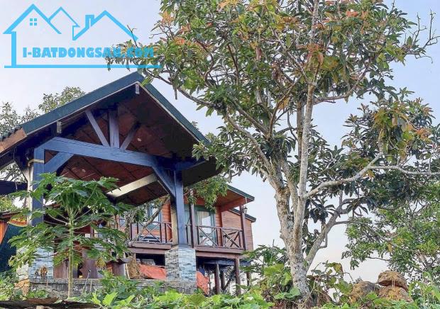 💯💯Bán Homestay gỗ săn mây Đại Lào Bảo Lộc - CỰC ĐẸP - 1