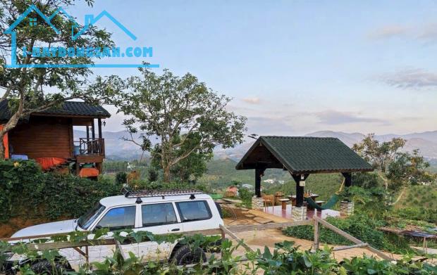 💯💯Bán Homestay gỗ săn mây Đại Lào Bảo Lộc - CỰC ĐẸP - 2