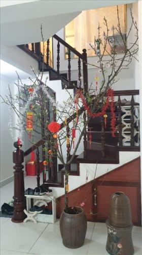 BÁN NHÀ PHÂN LÔ LIỀN KỀ ĐƯỜNG HỒNG HÀ - BA ĐÌNH - 32M2 - GIÁ 11,4 TỶ - 1