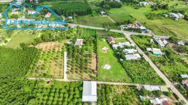 Lô đất Suối Tiên Diên Khánh 500m2 ô tô tận nơi - 3