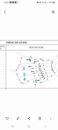 MỞ BÁN GẤP 5 LÔ F0 TẠI THÔN MỊN TO_XÃ TRÙ HỰU_LỤC NGẠN_BẮC GIANG