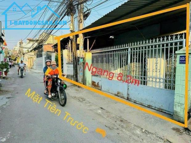 Bán Đất Ngang 8M x 20M P. Hoà Bình gần Trường Tiểu Học Quang Vinh cách đường CMT8 vào 100M - 2