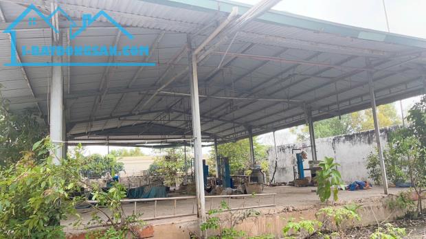 5000m2 Đất Xuân Thới Sơn Hóc Môn giá chỉ 10 triệu MV - 2