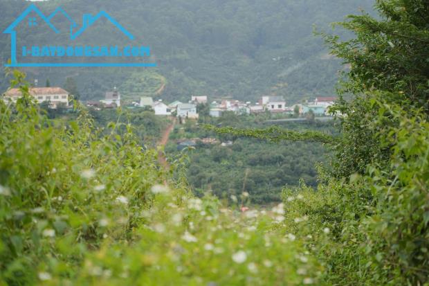 Bán 3000m2 Đất Nông Nghiệp Xuân Trường, Đà Lạt – View Rừng Thông Yên Tĩnh, Giá F0 - 2