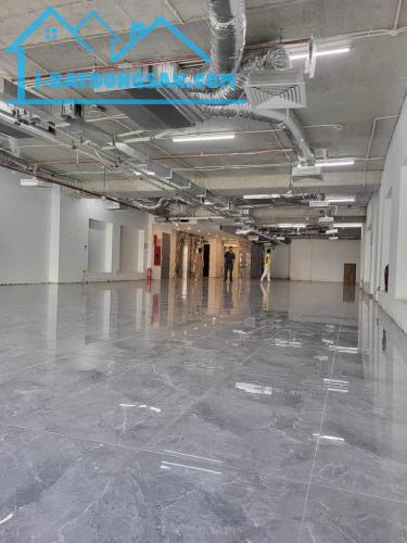 TÒA BUILDING MẶT PHỐ ĐỘI CẤN 450M2 X MẶT TIỀN 10M- DÒNG TIỀN 1 TỶ/ THÁNG - 2