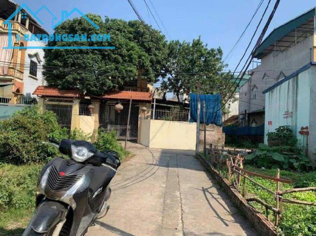 🏠 Nhà 3 TẦNG PHÂN LÔ CỰC ĐẸP-GIANG CHÍNH - 1