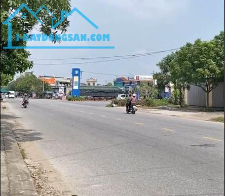 Siêu Phẩm Đất TMDV 7000m² Mặt Đường Thái Bình - Cồn Vành.  Cơ Hội Đầu Tư Sinh Lời Cao!