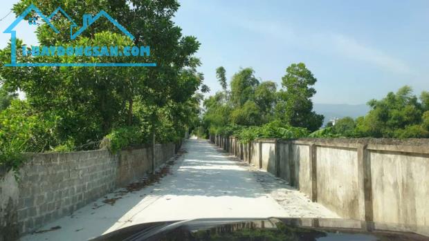 Bán trang trại 1,8ha tại Hà Nội, doanh thu 300 triệu/th giá cho nhà đầu tư - 1