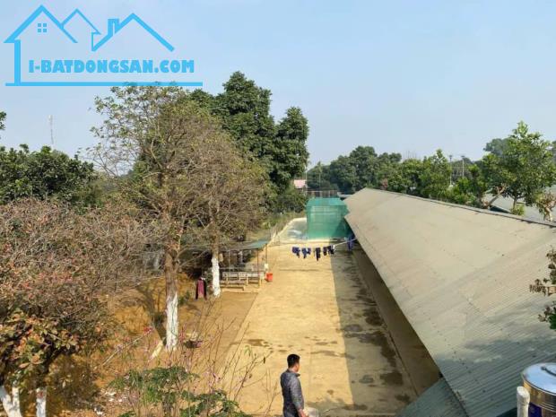 Bán trang trại 1,8ha tại Hà Nội, doanh thu 300 triệu/th giá cho nhà đầu tư - 3